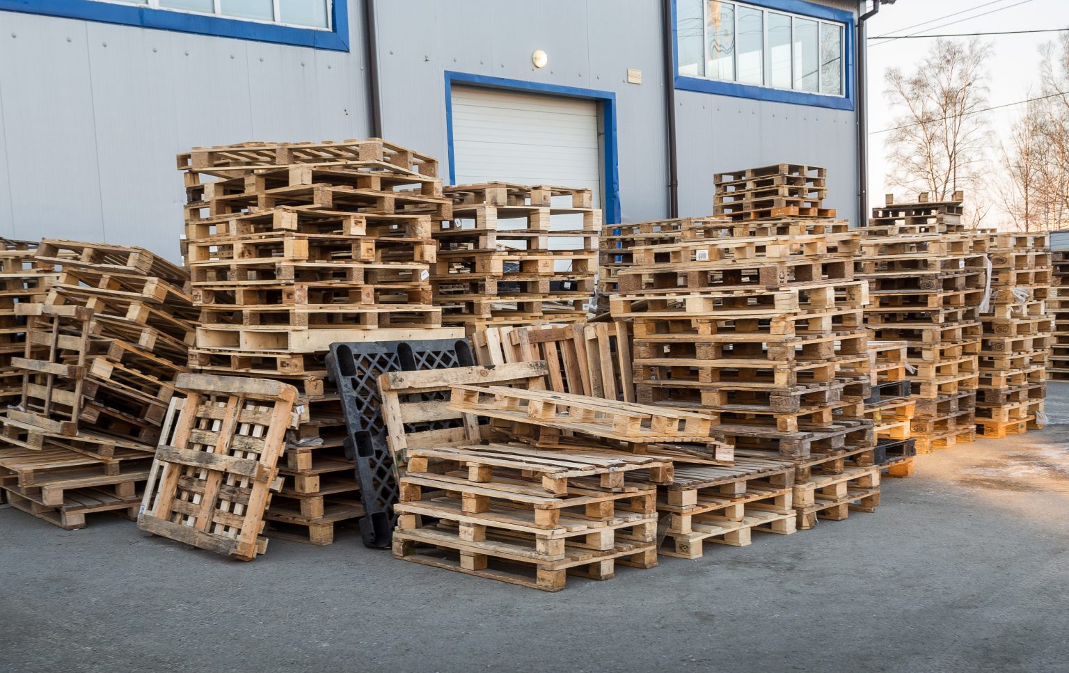 Pallet Industry City Pallets